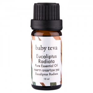 Baby Teva - eucaliptus radiata-2